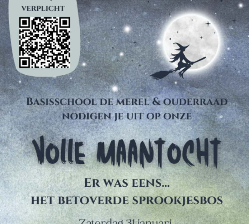 Uitgelichte Afbeelding (33)